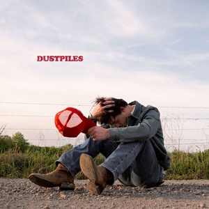 Dustpiles